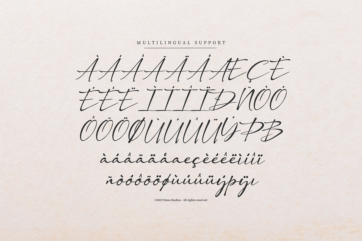 Dengacho Signature Signature Script, a Script Font by Denustudios (Photo 11 of 12)
