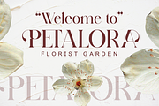 Lemedril - Elegant Modern Stylish, a Serif Font by Qweera Studio (Thumbnail 2 of 12)