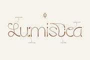 Lumistica Script Display Typeface, a Script Font by Nouric Design (Thumbnail 2 of 10)