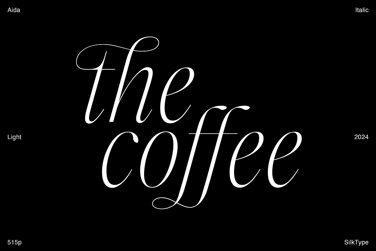 Aida | 10 Font Ligature Serif, a Font by Silktype (Photo 10 of 20)