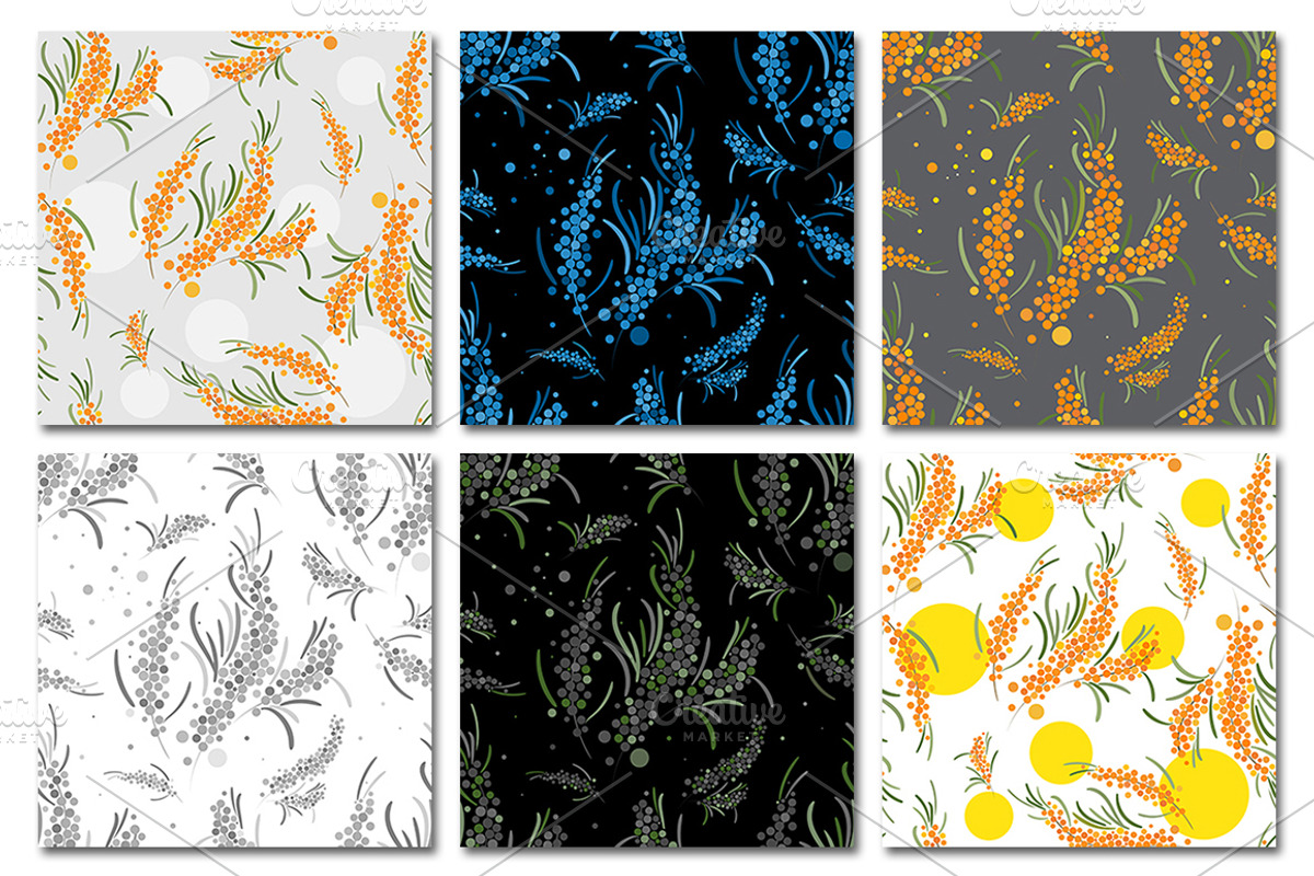 Sea buckthorn patterns set., a Pattern Graphic by xgart (Photo 3 of 4)