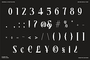 Erione – Bold Serif Font, a Serif Font by Randi Irvan | Rvandtype (Thumbnail 12 of 12)