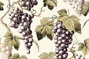GYPSY GRAPES. Seamless Pack, a Texture Illustration by RefinedFantasyStudio (Thumbnail 6 of 9)