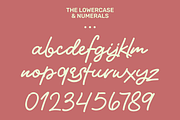 Wyleri Expressive Handwritten Fonts, a Script Font by Black Junst (Thumbnail 5 of 8)