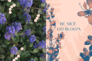 HERBARIA. Pressed Wildflower Scans, an Object Graphic by Schumacher Shop (Thumbnail 13 of 21)