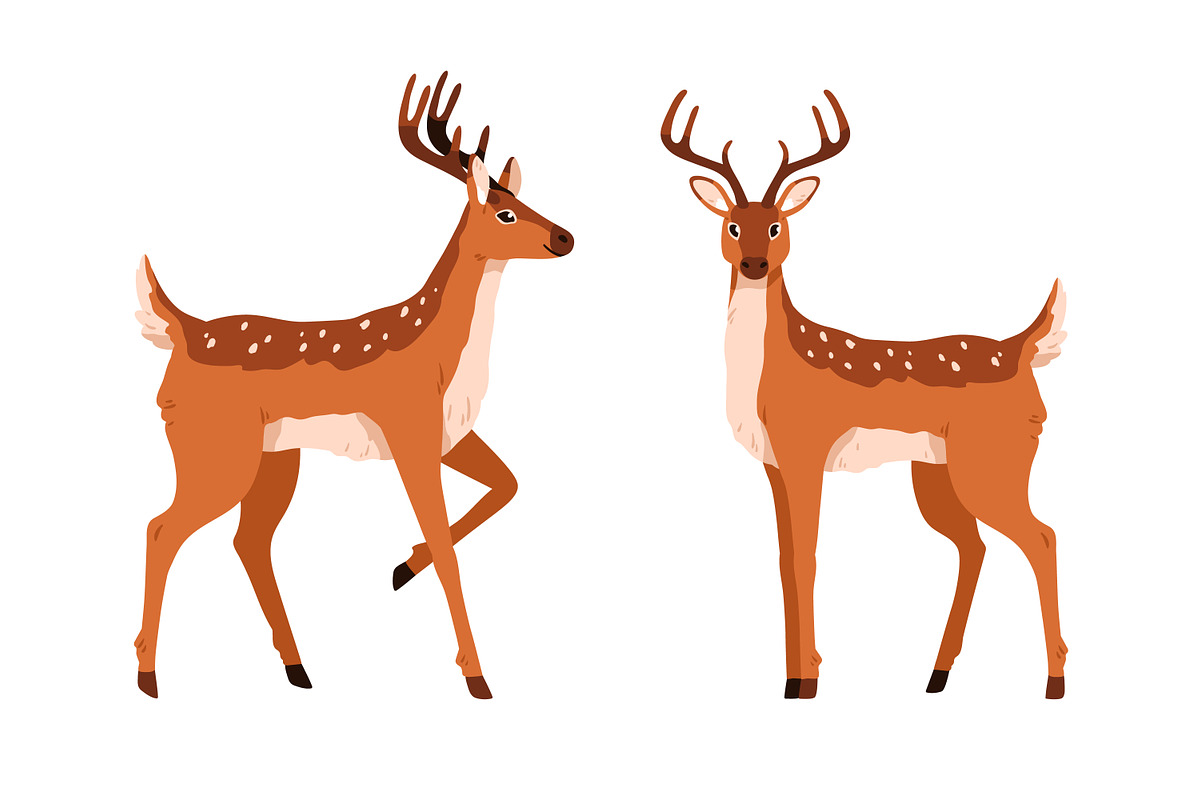 Cute deer childish cartoon set, an Animal Illustration by Good Studio (Photo 3 of 7)