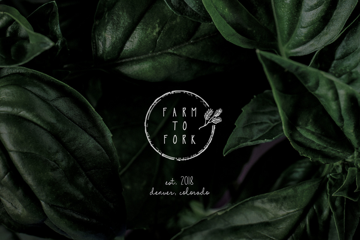 Fiala // A Handwritten Font Duo preview 4