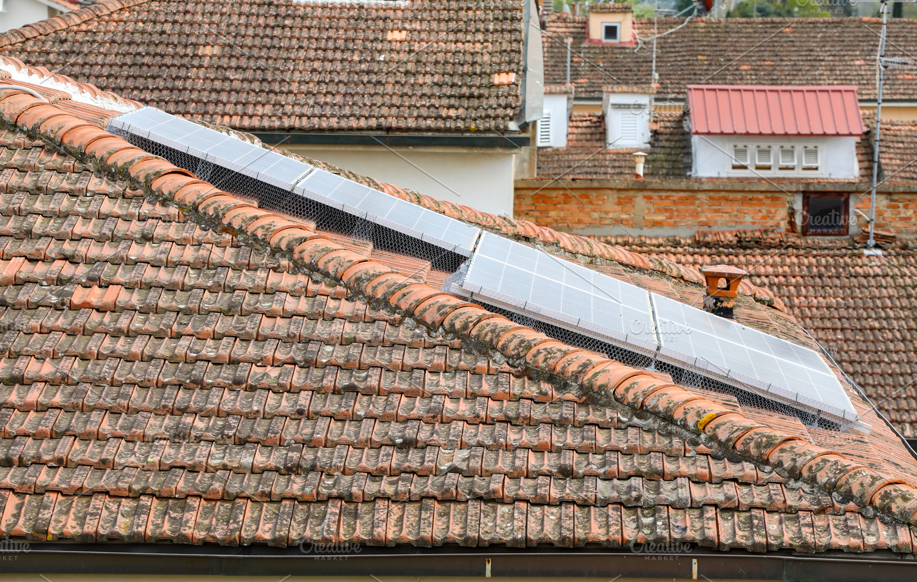 Solar panels with bird protection mesh on a tiled roof, an Architecture Photo by Antonio Gravante Market