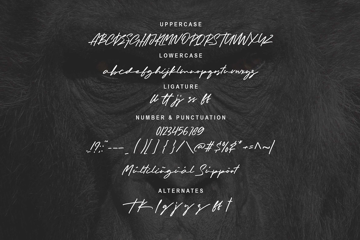 Hanuman Font, a Handwritten Font by Zelda Graphic (Photo 2 of 7)