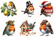 Christmas Robin Birds Clipart, an Illustration by OK Design (Thumbnail 2 of 5)