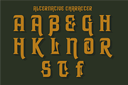ARMINOS, a Serif Font by saskaratype (Thumbnail 3 of 6)