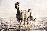 Photo Textures - Set 04, a Texture Graphic by Gwenhw (Thumbnail 3 of 6)