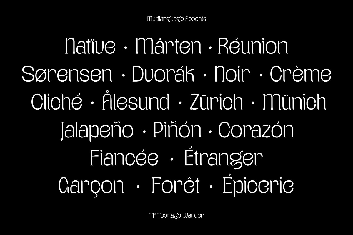Teenage Wander - Variable Font, a Serif Font by TeenageFoundry (Photo 7 of 12)
