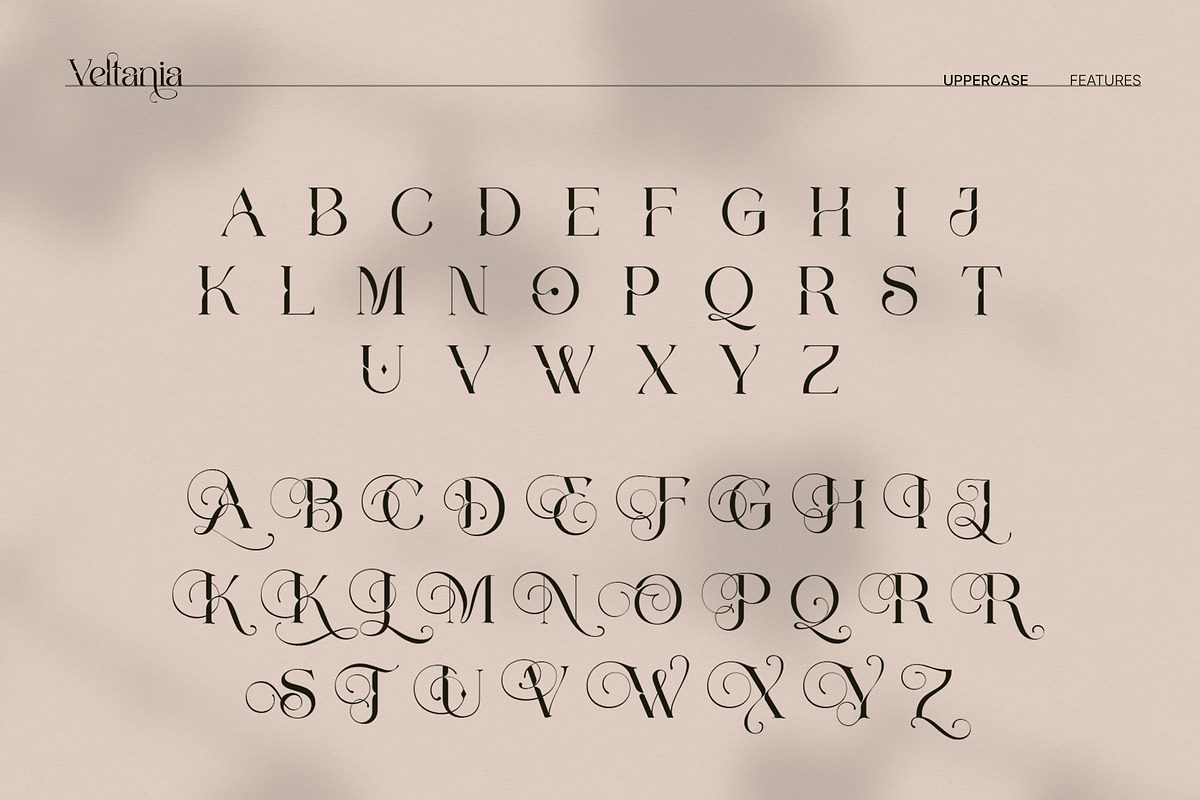 Veltania - Modern Serif Font, a Serif Font by Inviline.co (Photo 3 of 14)