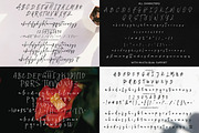 Casual Signature Font Bundles, a Handwritten Font by tebaltipislab (Thumbnail 30 of 46)