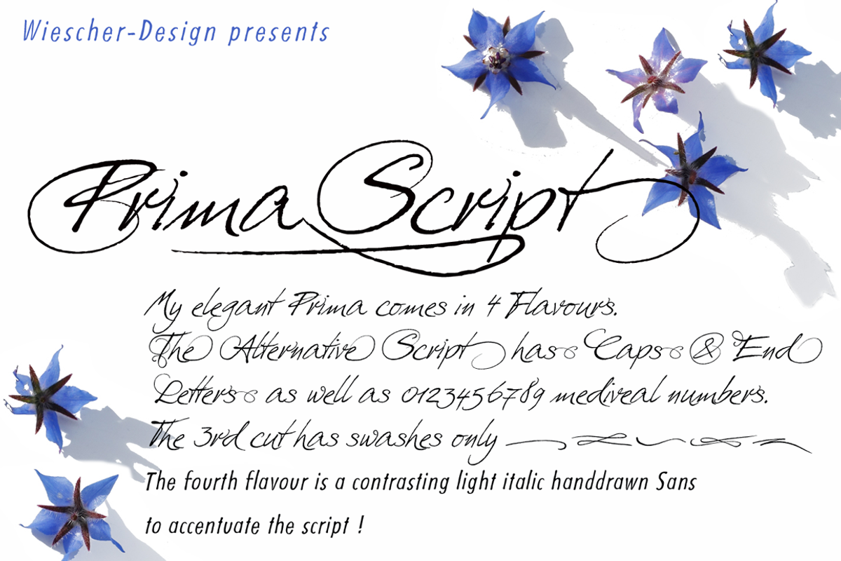 Prima Script