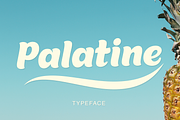 Palatine, a Script Font by Larin Type Co. (Thumbnail 1 of 10)