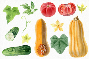 Watercolor Vegetables And Herbs