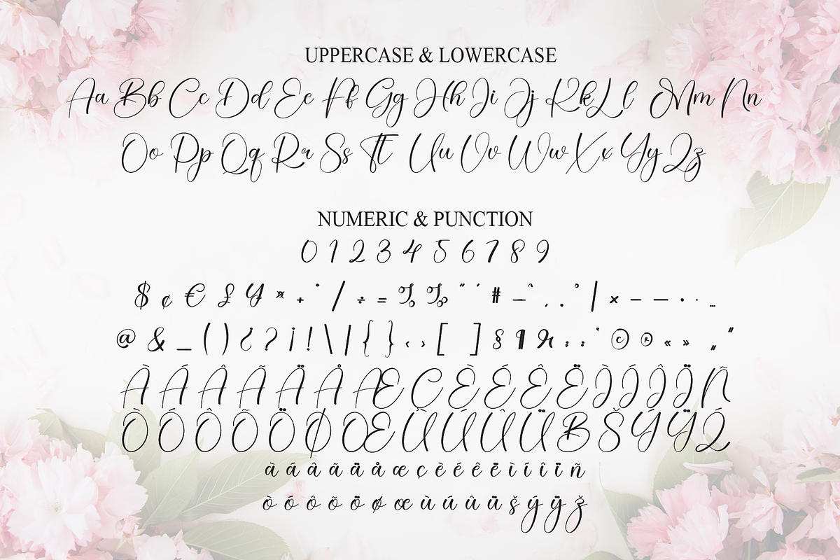 Calistha | Script Font, a Handwritten Font by Scratchones (Photo 7 of 9)