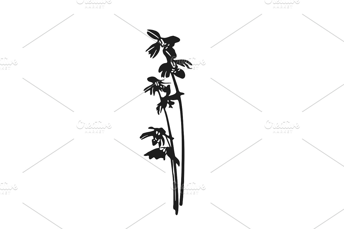 Botanical bundle - svg, png, a Decorative Illustration by Watercolor_Vector Graphic (Photo 25 of 26)
