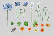 Watercolor Flowers Set, an Illustration by IrStepShop (Thumbnail 2 of 3)