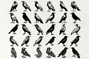 Crow SVG File. Raven Clipart PNG, an Animal Illustration by DENIDigitalArtSudio (Thumbnail 7 of 8)