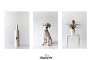Pale Pink & Soft Beige Photo Pack, a Social Media Template by Jumping Dog (Thumbnail 3 of 6)