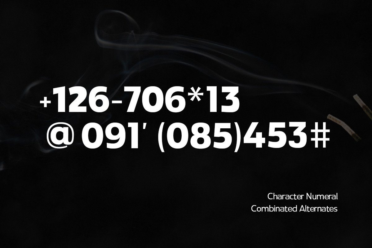 Paquero Sans Family, a Sans Serif Font by Propertype (Photo 9 of 11)