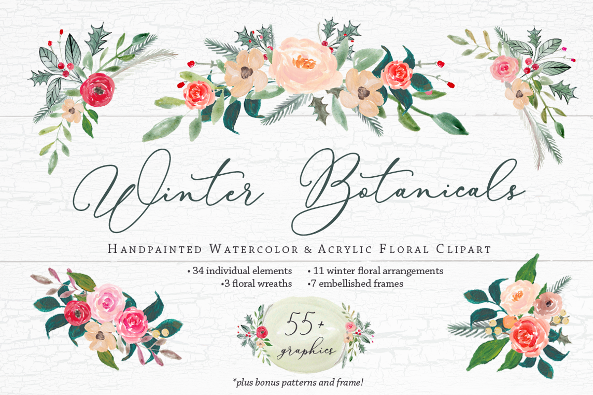 Winter Botanicals Clipart, an Illustration by Emerald & Ivy Studios (Photo 1 of 9)