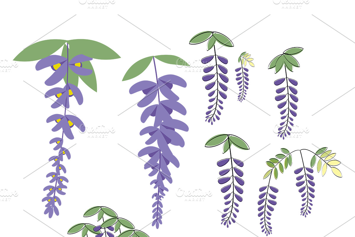 Wisteria flower illustrations set, an Illustration by PeoGeo Creative