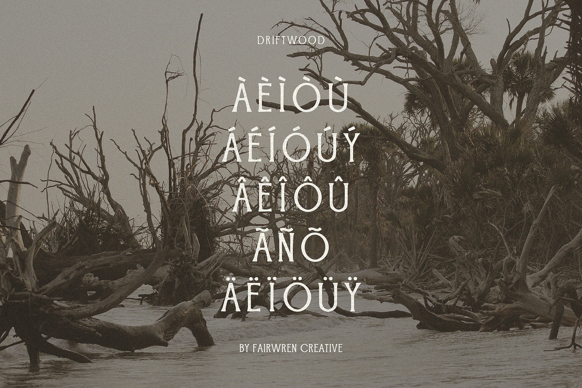 Driftwood, a Serif Font by Fairwren Creative (Photo 4 of 6)