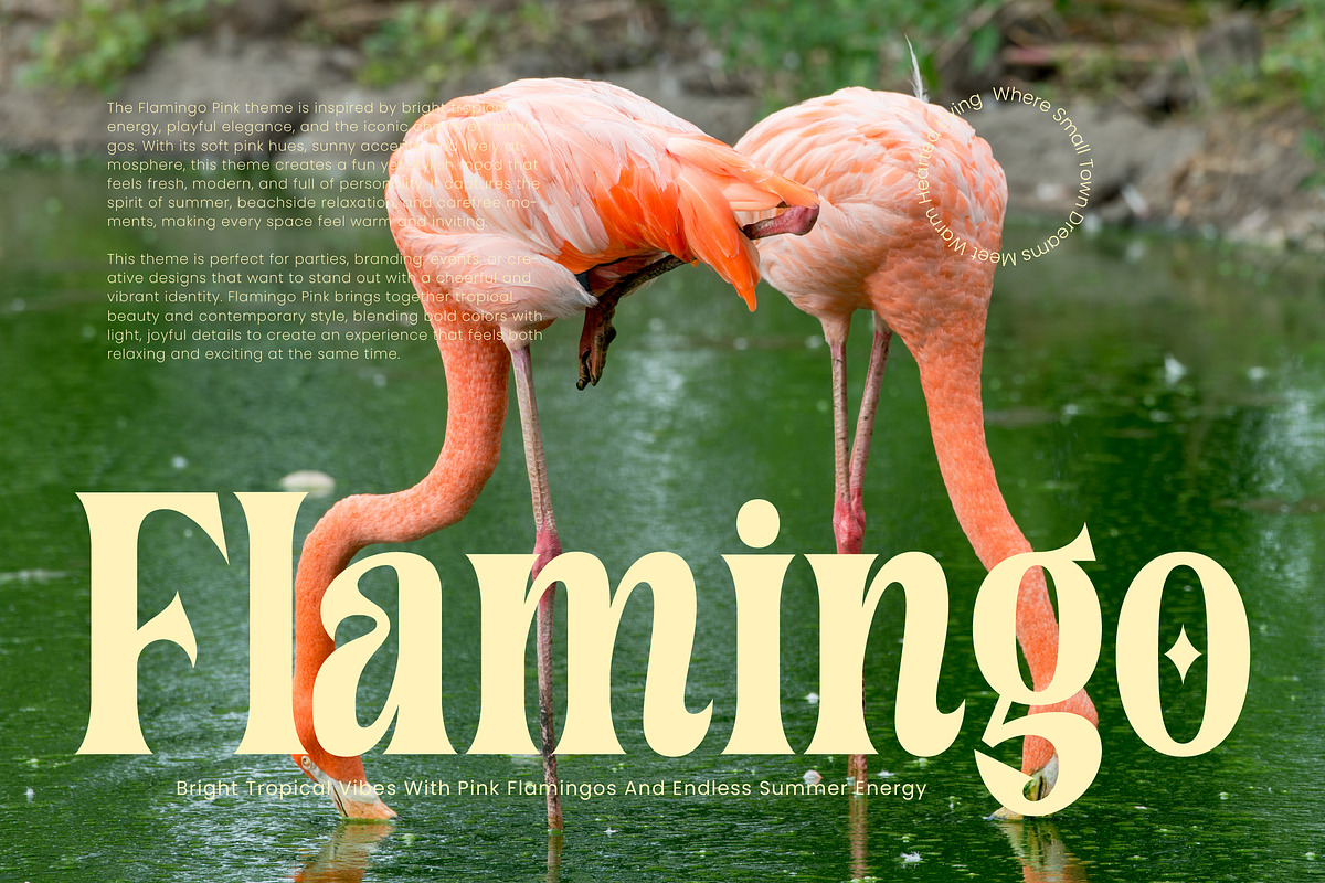 Cahileros Retro Bold Serif Font, a Serif Font by timelesstype.co (Photo 14 of 20)