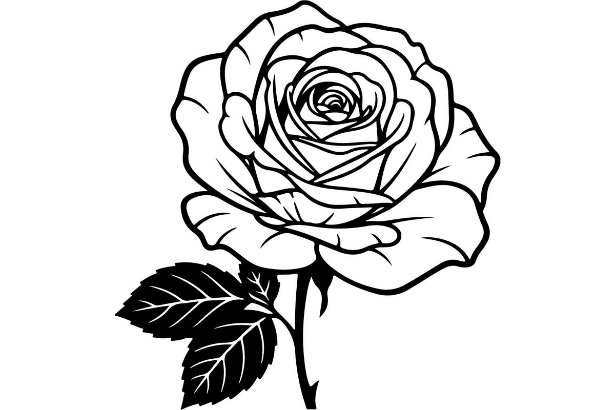 Rose Flower Silhouette Vector Bundle, an Illustration by Designer_Momina (Photo 21 of 21)