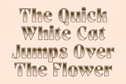 CS Aslan Stippled, a Sans Serif Font by Craft Supply Co. (Thumbnail 2 of 8)