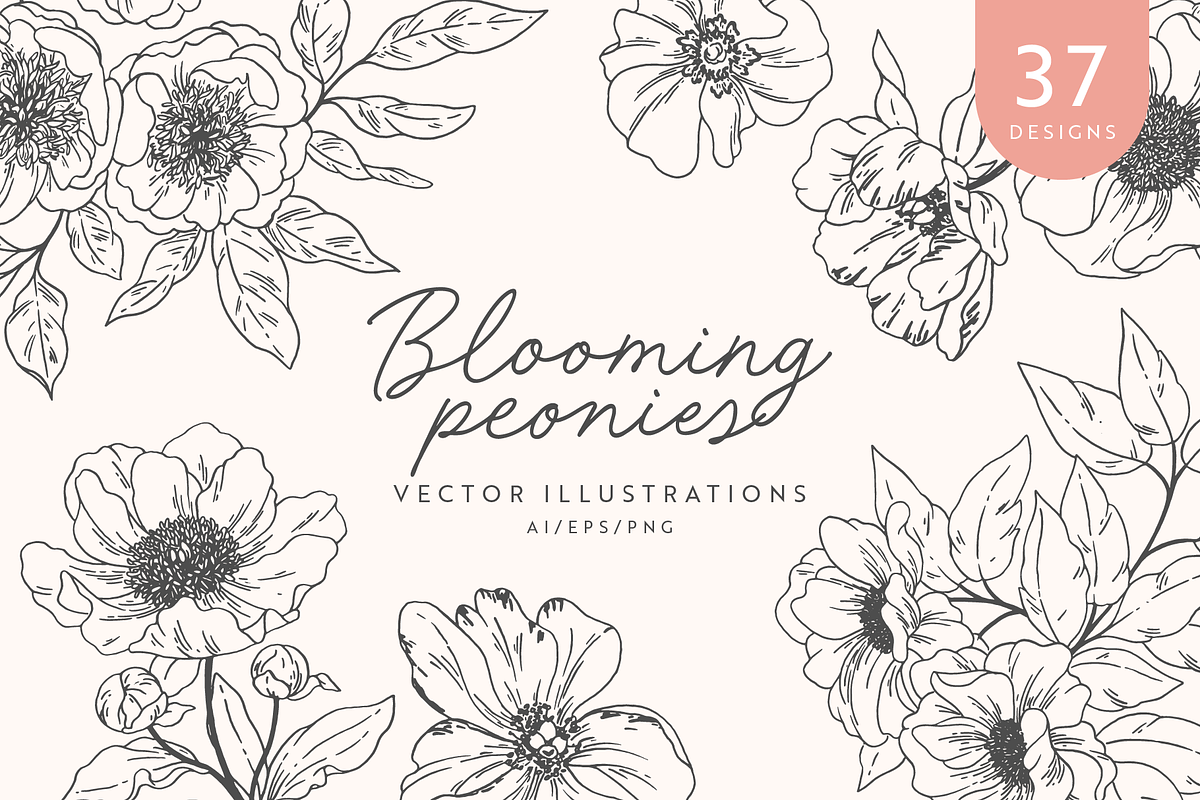 Peonies Vector Illustrations, a Decorative Illustration by Emma Webb Studio (Photo 1 of 9)