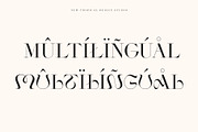 Yorker - Experimental Serif Typeface, a Serif Font by Tropical Type (Thumbnail 13 of 13)