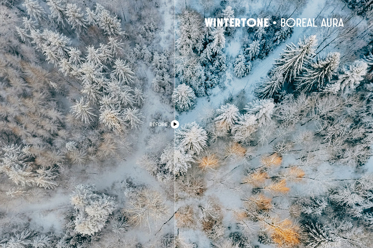 Wintertone Lightroom Presets, a Preset Add-On by Presetrain Co. (Photo 8 of 9)