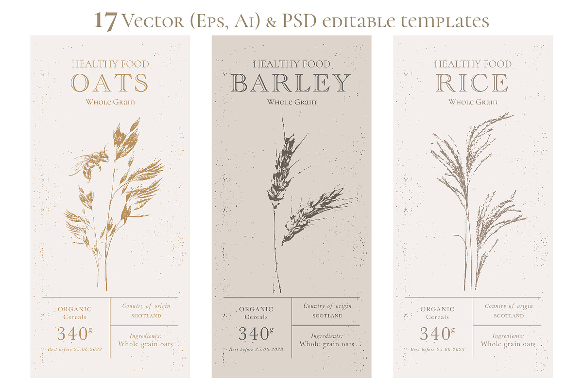 OAT Labels. Vector & PSD Design Kit, a Templates & Theme by Lumitar (Photo 7 of 9)