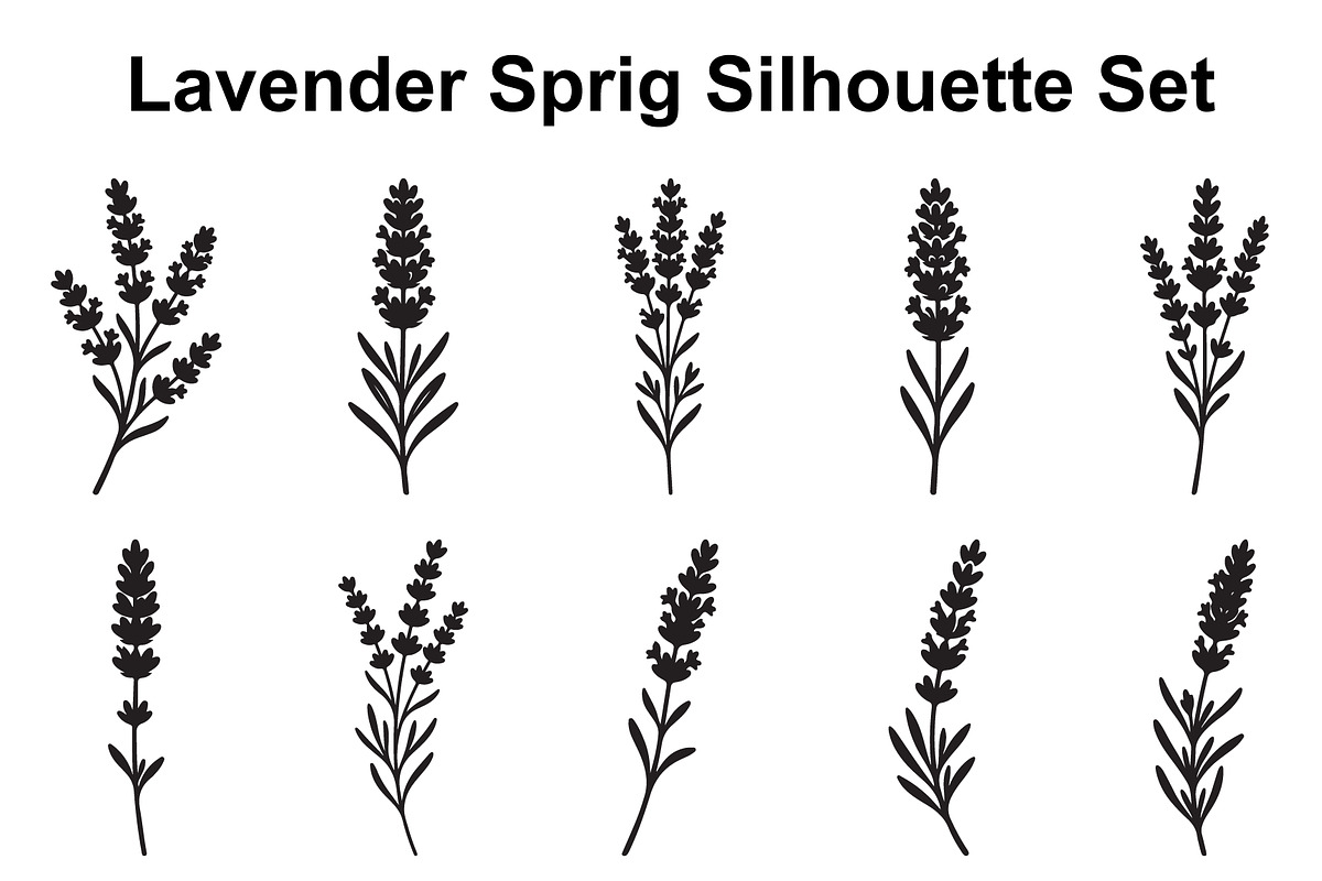 Lavender Stem Silhouette Collection, an Object Graphic by Creativeshirt (Photo 1 of 3)