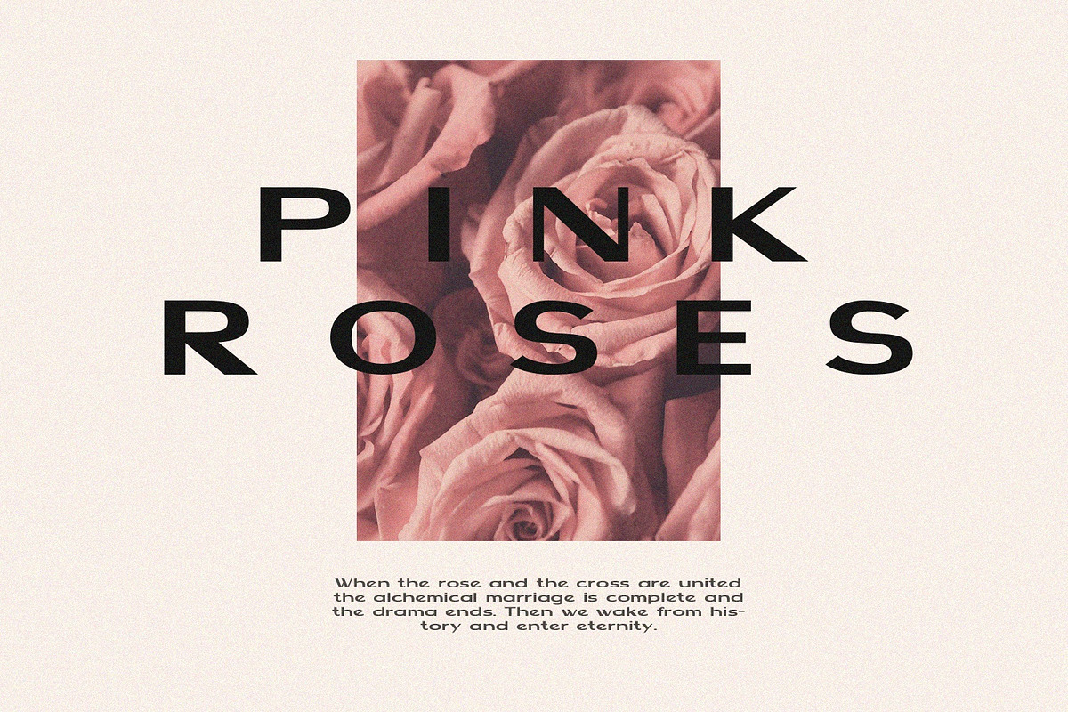 TAMRIN - Modern Sans Font, a Sans Serif Font by Graphicfresh (Photo 6 of 11)