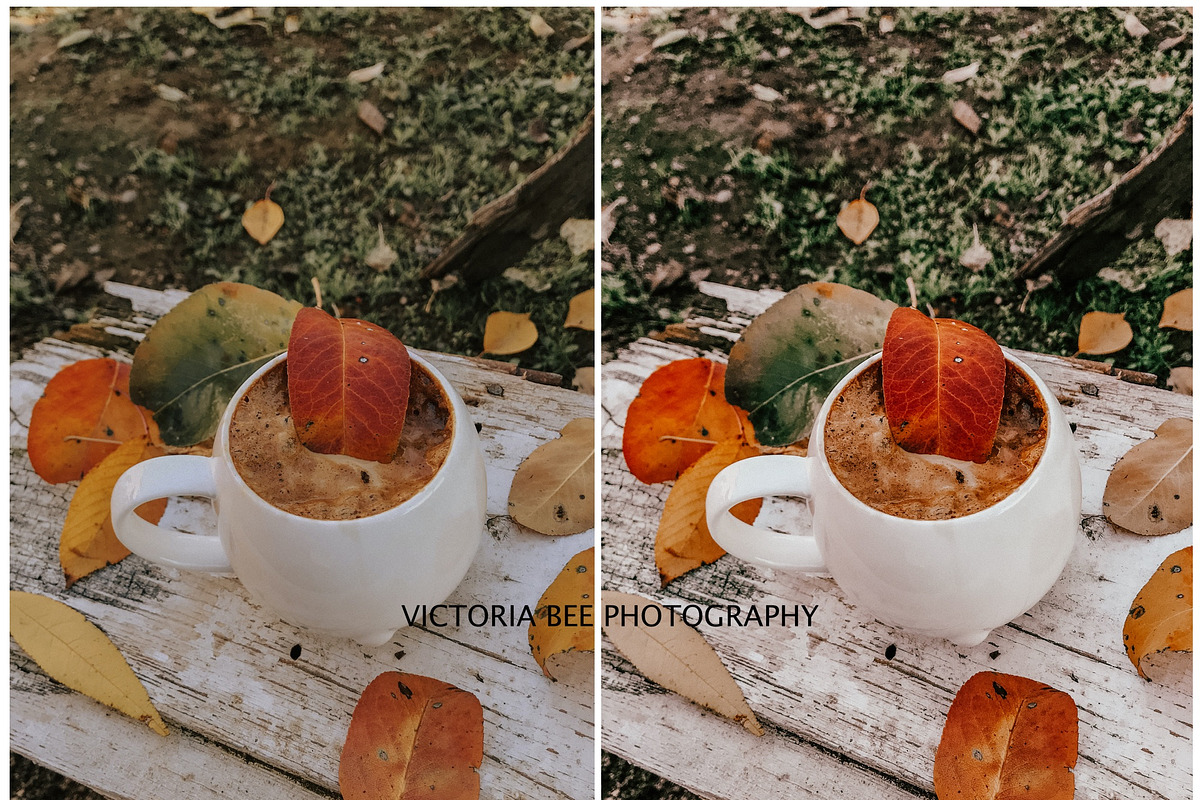 FALL LIGHTROOM PRESETS BRIGHT AUTUMN, a Preset Add-On by Victoria Bee Presets (Photo 8 of 9)