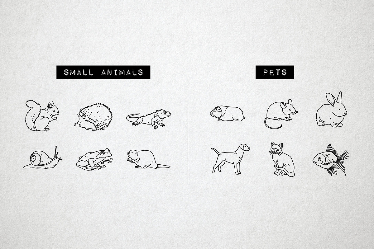 Wild Animal Icons Pack, an Outline Icon by Hatch Design Workshop (Photo 4 of 10)