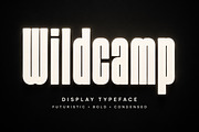 Wildcamp, a Slab Serif Font by Wow Magic (Thumbnail 1 of 4)