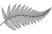Minimal Abstract Leaves Line Art, an Illustration by musafir_fashion (Thumbnail 11 of 11)