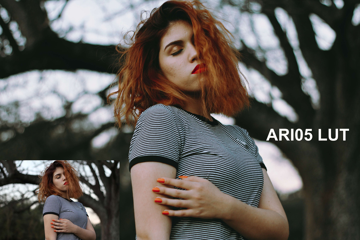 Ariel Bourgoing Luts Pack, an Action Add-On by Bourgoing Presets (Photo 3 of 4)