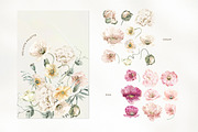 Poppy Rainbow Floral Watercolor Set, an Illustration by Cat In Colour (Thumbnail 3 of 10)