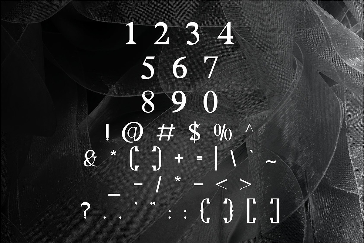 Leoni | Modern Serif Font, a Serif Font by Muntab_Art (Photo 7 of 7)