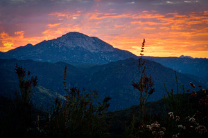 Fiery Sunrise