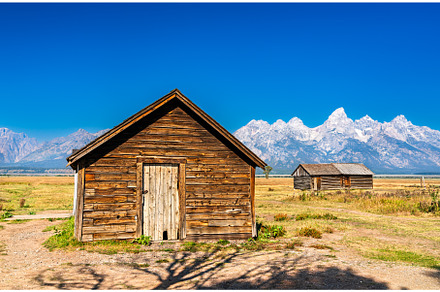 Rustic cabin and tree in Mormon Row, a Nature Photo by Leonid Andronov