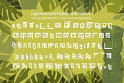 Freaky Tiki Font with Dingbats, a Font by Amber Nest Design (Thumbnail 5 of 12)